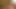 Karşılama partisi