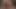 POV double blowjob from two hot blondes