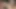 Sakura aida si cewek hot jepang lagi asik nyepong kontol sebelum seks threesome ganas