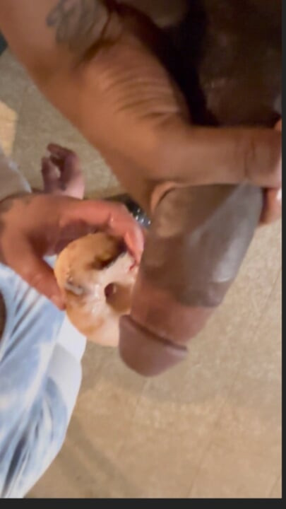 Donut Porn