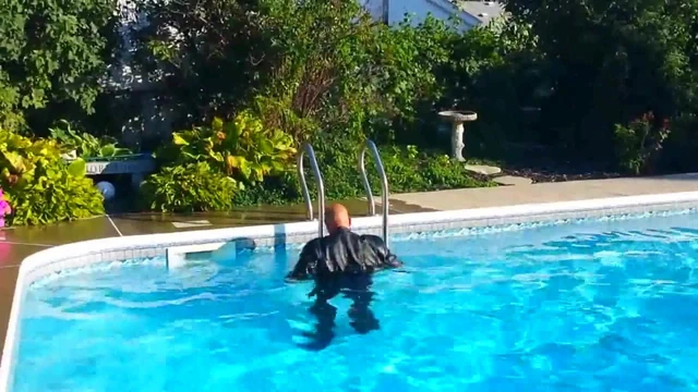 Mit Leder Schwimmen