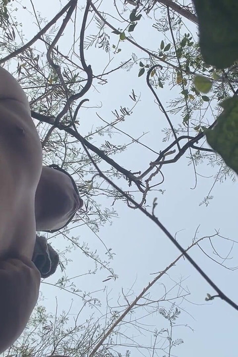 Chinese Bear