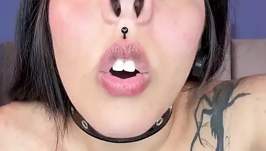 Turned in to Piggy