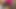 スタッフがボスのメイドと激しいセックスをし、彼女の膣を犯した