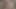 21sextury amirah adara boğazları ve verir göt dışında