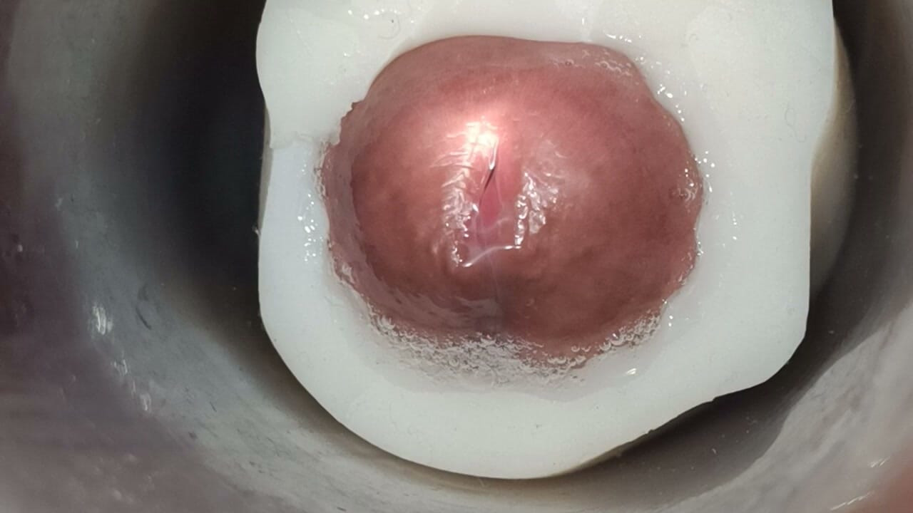 Internal view: vulva twitching and ejaculation 1