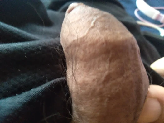 really hard penis lonely