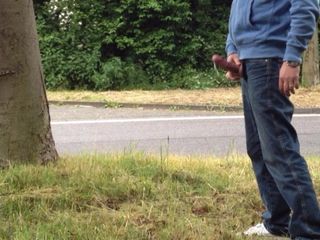 Липка сперма в парку на шосе a3 в Німеччині