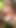 Seksi kızla romantik çift cennet parkında şehvetli seks yapıyor