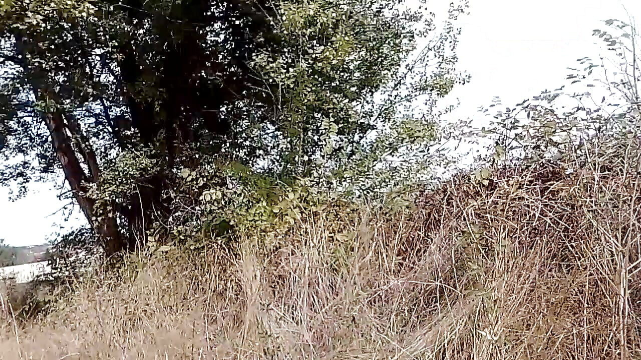 Southern charms siberian beauty