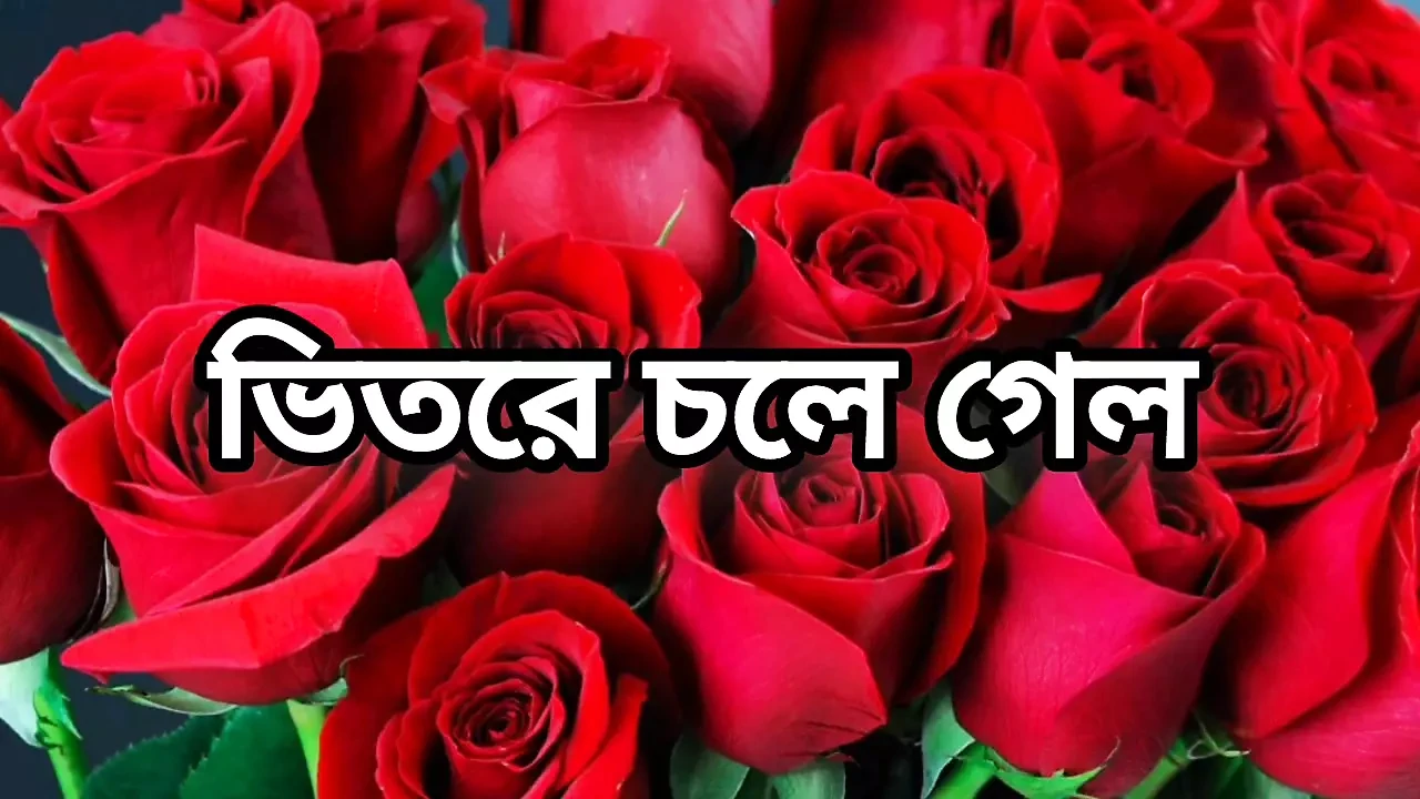 Bangla choto golpo hot new choto golpo beautiful sex story in Bangla audio