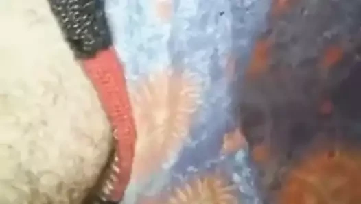 düz erkekler