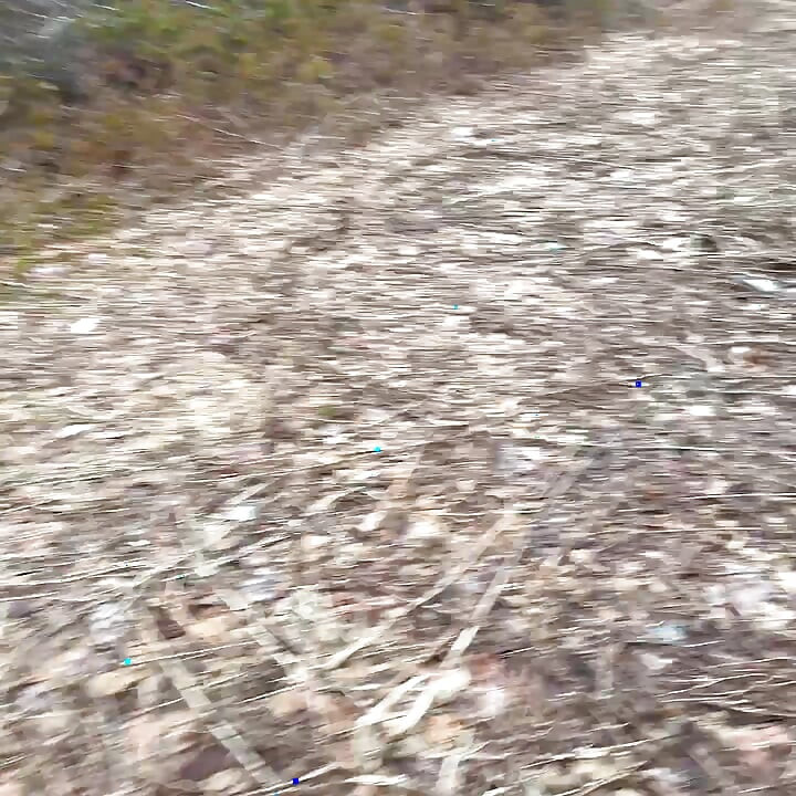 pissa seksikäs metsään niin siistiä