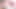 DP Teens Lovers