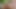 This is the brightest orgasm in the forest from a sex machine that you have seen