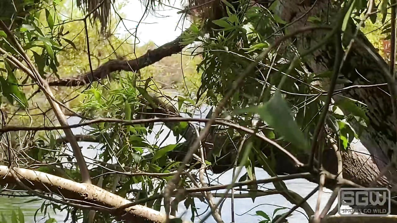 Hiking and Fucking at the Myakka River