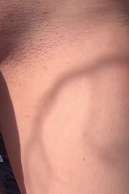 Creampie picnic for Ashton Haze