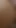 Horny Student Finds Dildo in Bathroom Cabinet and Fills Her Anus
