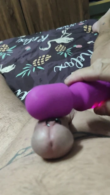 Play with toy.