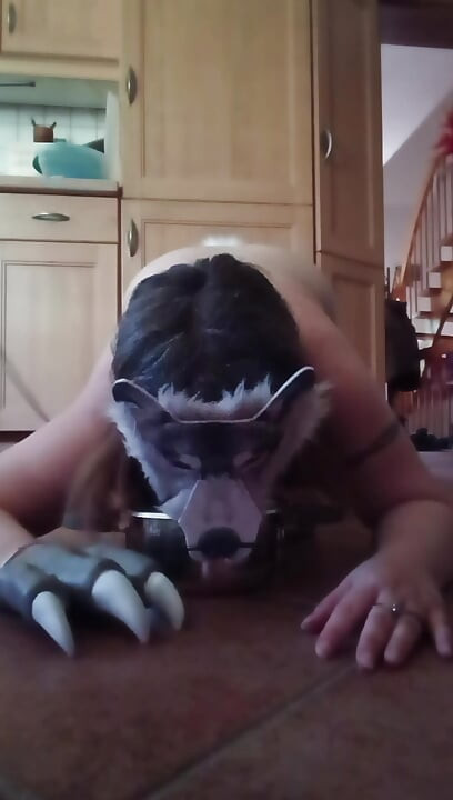 Otherkin woke month challenge
