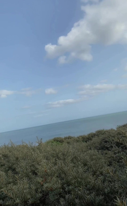 Ginger twink cums beside the sea