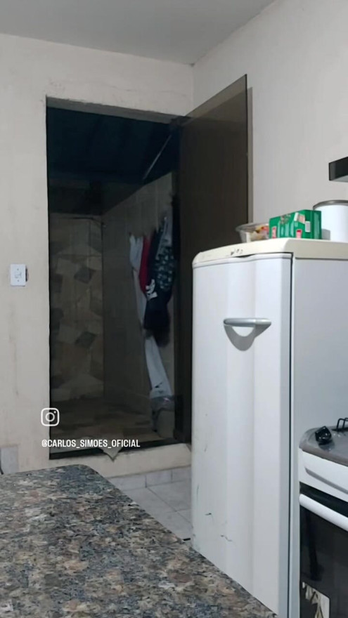 קרלוס סימוס מציג: מופע הכבשים!