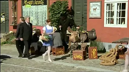 Danish Vintage