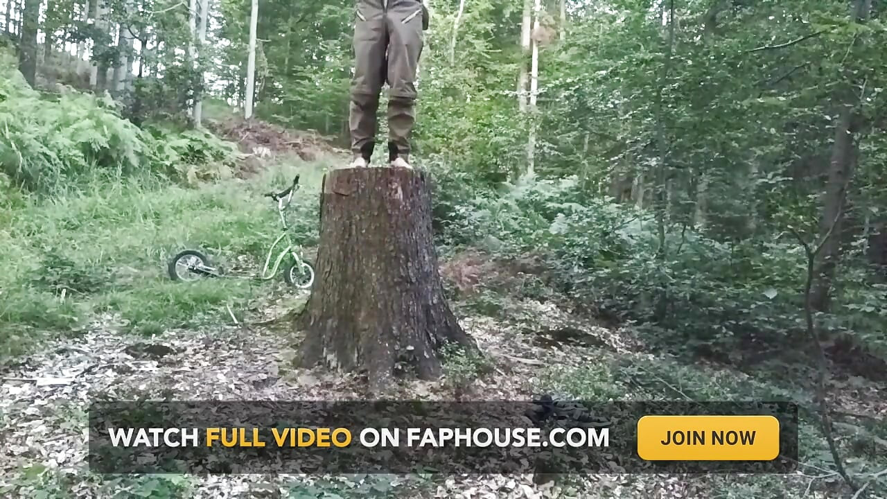 Stump Chase, Part One