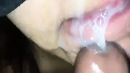 Sexy Girl Kissing and Sucking a big dick
