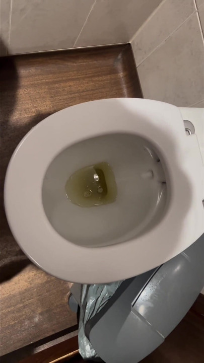 Offentligt toilet tisser