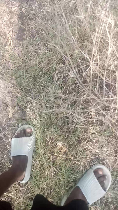 Village sex video