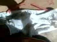 neighbour panties