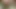 Şanslı adam ssbbw ve midg3t sikikleri