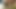 Dog Wolf fake Cum Dildo Anal