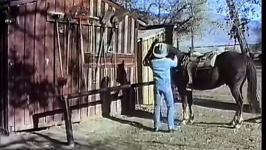 Zwei Typen mögen tiefe Kehle und tiefe Penetration hart von hinten auf dem Boden