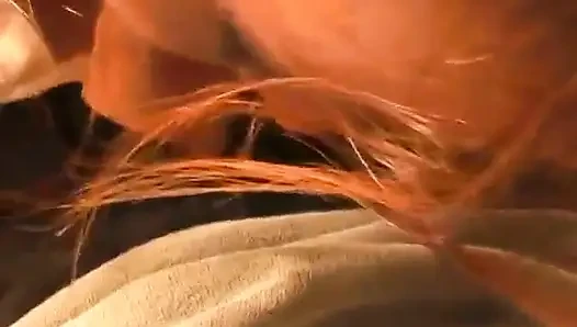 Telefon-blowjob