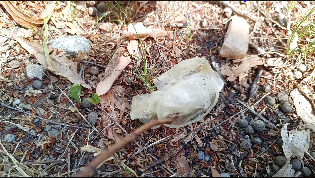 使用过的避孕套8
