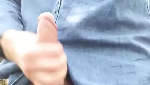wanking içinde wiids