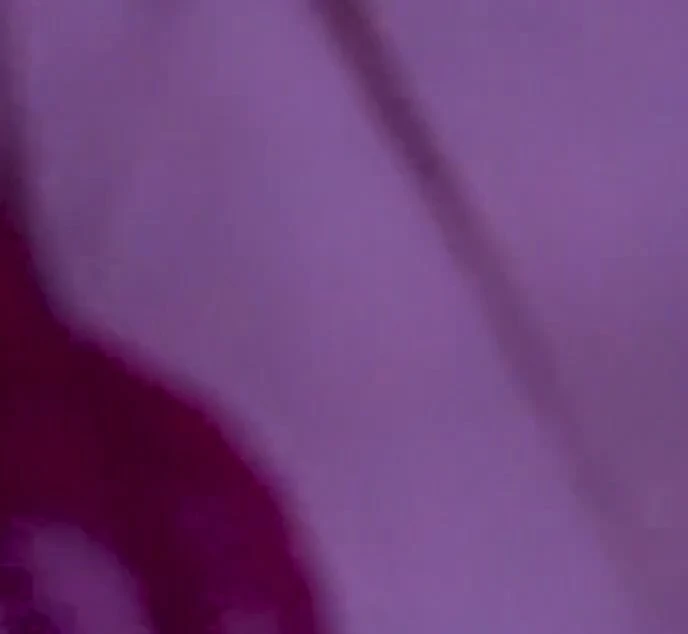 你站什么, 继父. 继母已经走了, 脱下你的裤子来找我