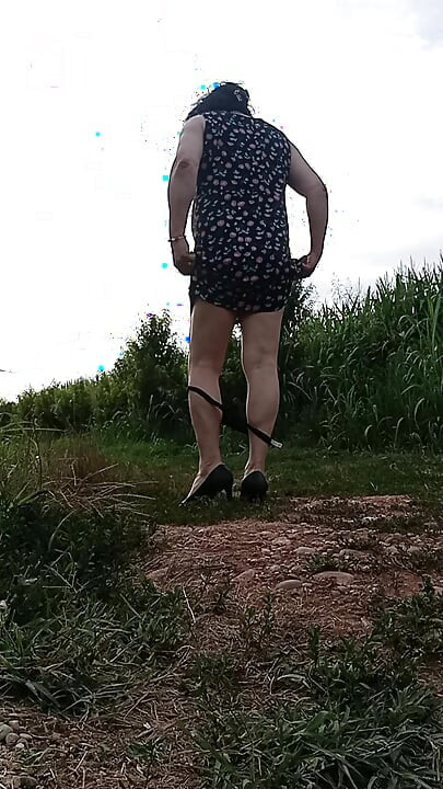 Ladyboy trusser