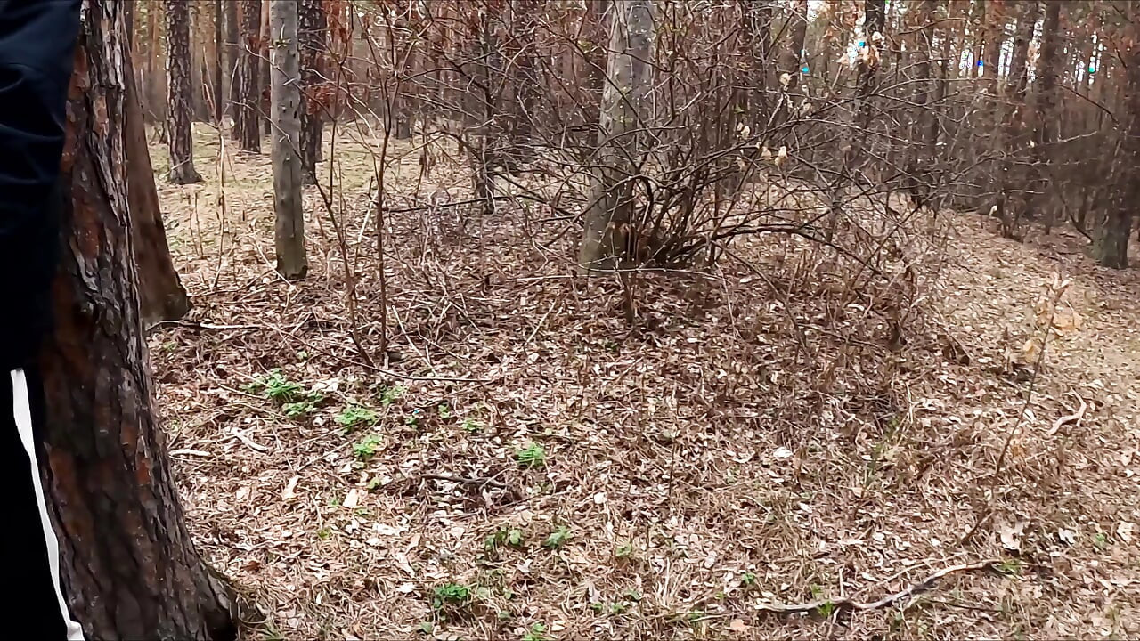The Guy Walks with A Vibrator in The Park and Masturbates