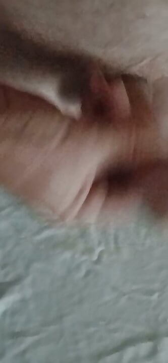 The Timid