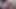 Adriana chechik yüzünün her yerine boşalmam için beni tuttu
