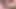 Phat ass T-girl gets facefucked while riding a dildo