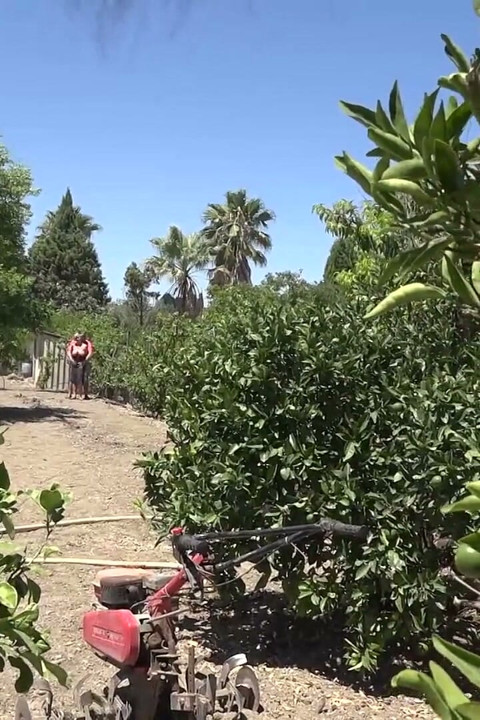Blonde MILF is draining guy's hard cock outdoors