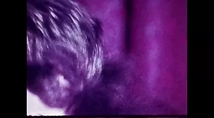 The Best of Cum