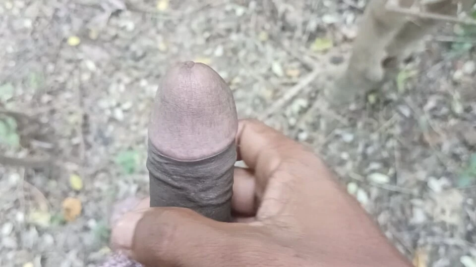 Musturbation Desi boy big cock at jangle