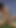 Latina trans lovers trade big dick horny anal