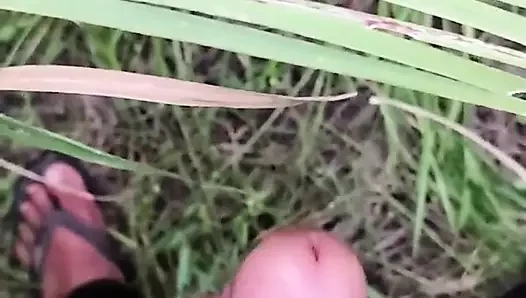 Masturbating in the Sugarcane Field