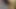 trinidad ve tobago p2'den hint aşıkları